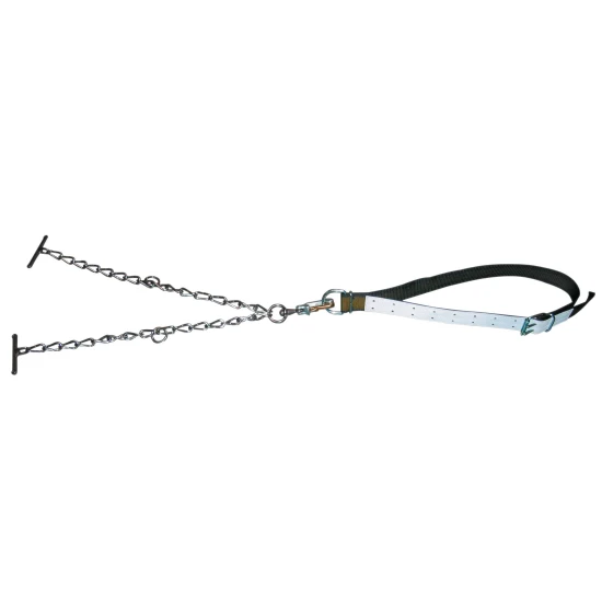 KERBL Nyakszíj Bikához Kikötőlánccal kpl.