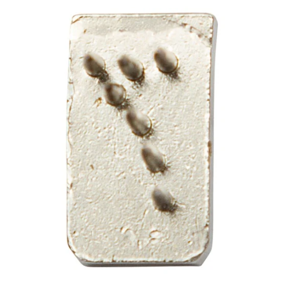 KERBL Tetoválószám, 40 mm, 7