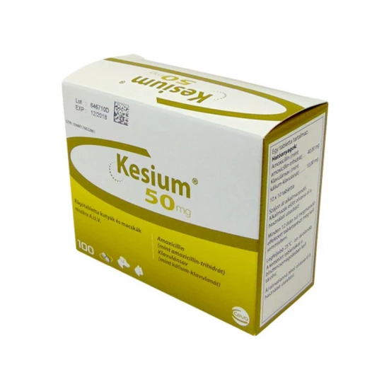 Kesium 400 mg /100 mg rágótabletta kutyák részére 96x