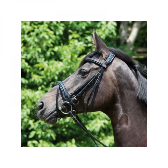 Kieffer Perseus kantár, full