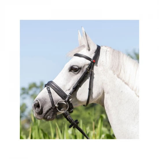 Kieffer Ultrasoft Economy kantár, fekete xfull