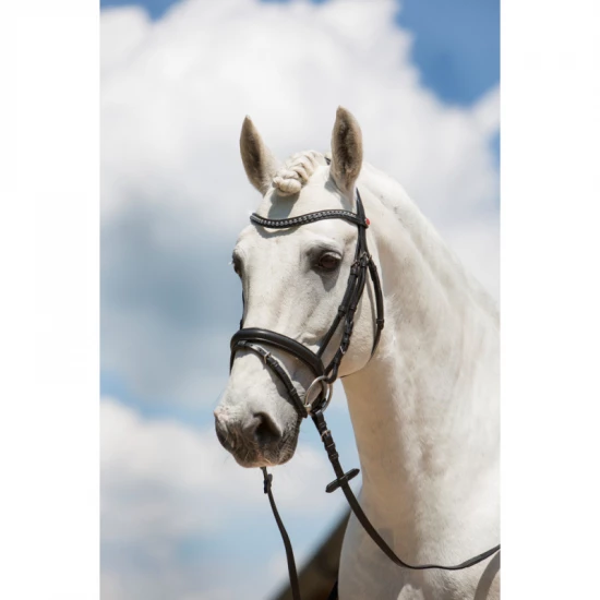Kieffer Ultrasoft Fashion kantár, full