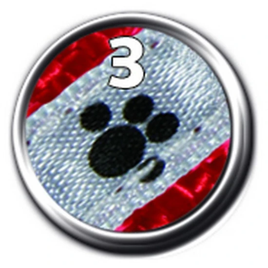 .Kölyökszett Hámmal Piros/Ezüst 2m 26-34cm/10mm