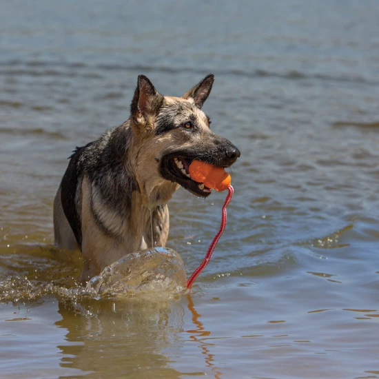 KONG Aqua Harang Kötéllel Kutyajáték L