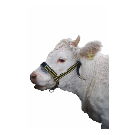 Kötőfék Borjú Pp-Tex