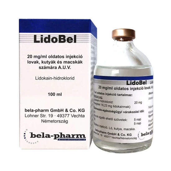 Lidobel 20 mg/ml injekció 100 ml
