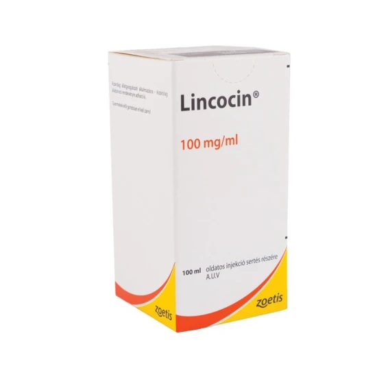 Lincocin 10% injekció 100 ml