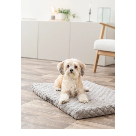 .Noah Vital matrac, négyzet alakú, 60 × 45 cm, világosszürke