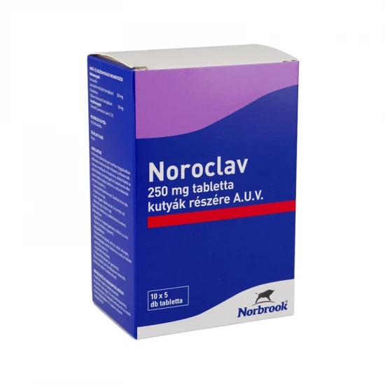 Noroclav 250 mg tabletta 50x - Alphaportal