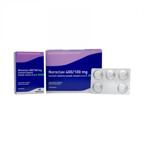 Noroclav 400/100 mg ízesített tabletta 100x