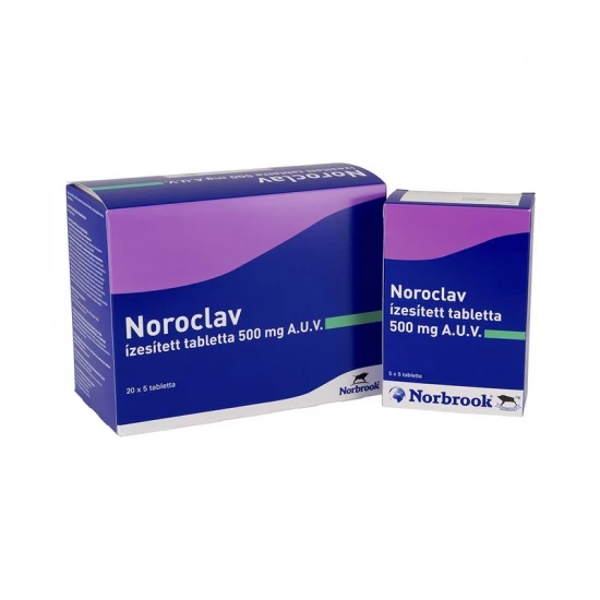Noroclav 500 mg ízesített rágótabletta 100x