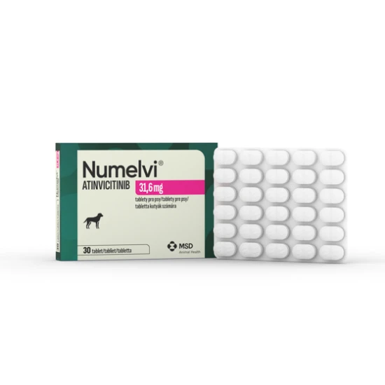 Numelvi 31,6 mg tabletta kutyák számára 1x30
