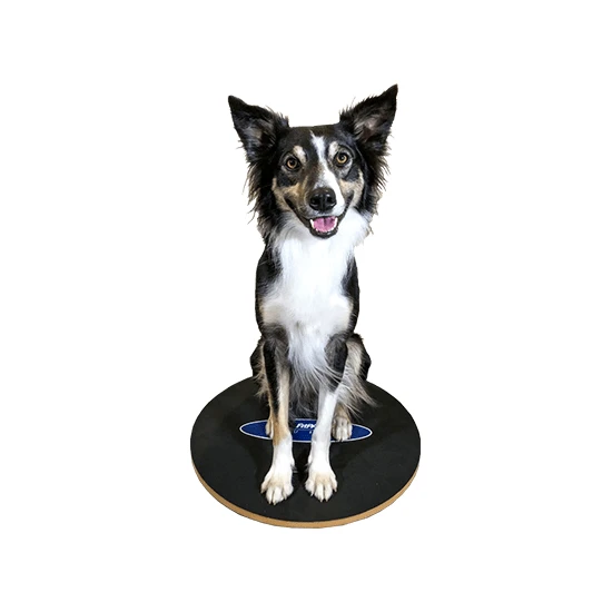 Paw Prosper FitPaws 20 cm-es kör alakú billenő deszka