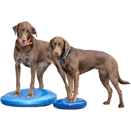 Paw Prosper FitPaws kör alakú kék balance párna 14 cm