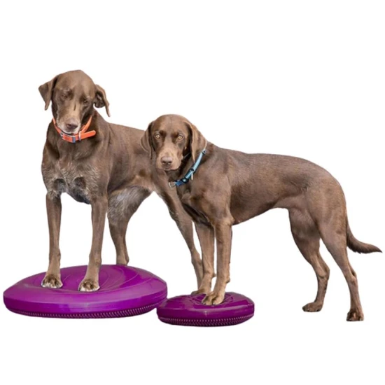 Paw Prosper FitPaws kör alakú razzleberry balance párna 14 cm