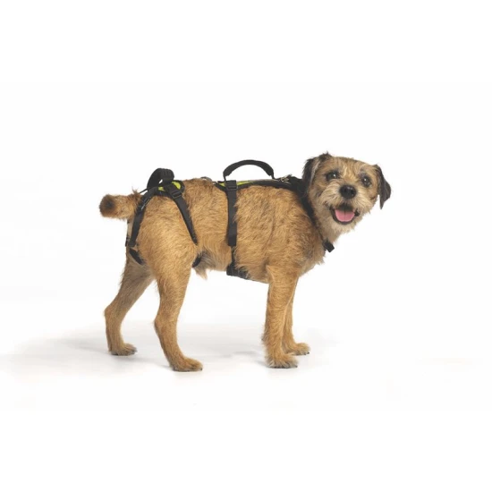 Paw Prosper Kis U-sávos teljes test emelő hám