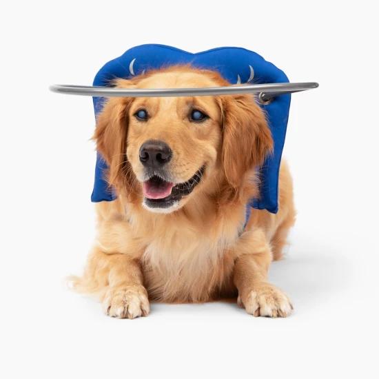 Paw Prosper Muffin s Halo vakvezető kutya - kék - 9-es méret