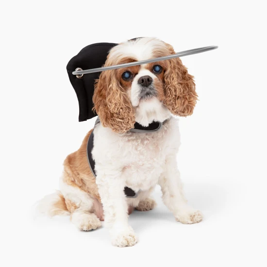 Paw Prosper Muffin's Halo vakvezető vak kutyáknak - Fekete Braille-írás - 7-es méret