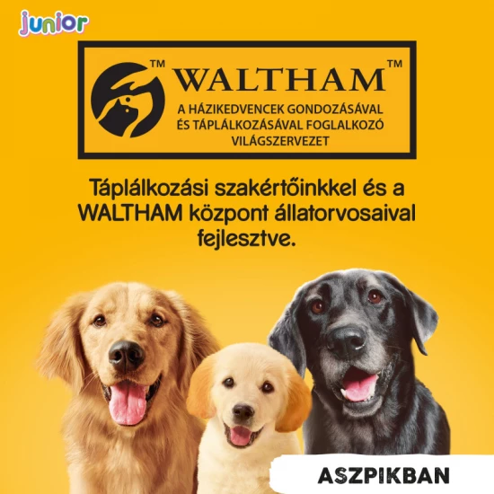 Pedigree Konzerv Junior Csirke 400g Pedigree Konzerv Junior Csirke 400g