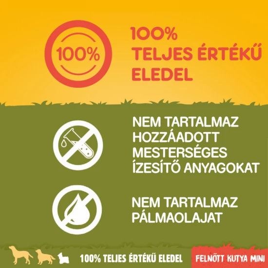 Pedigree Száraz Mini Marha-Zöldség 12kg Pedigree Száraz Mini Marha-Zöldség 12kg