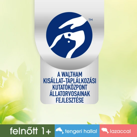 PERFECT FIT mini tasakos lazac & oceani halas 6x50g Multipack PERFECT FIT mini tasakos lazac & oceani halas 6x50g Multipack