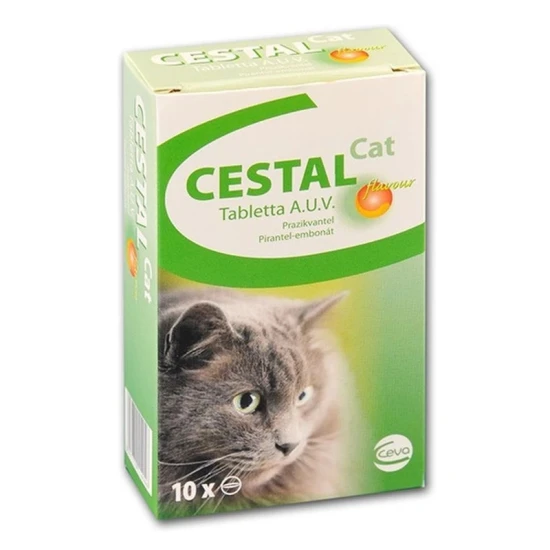 Ragtapasz:5cmx9m Silkpl.Sely.