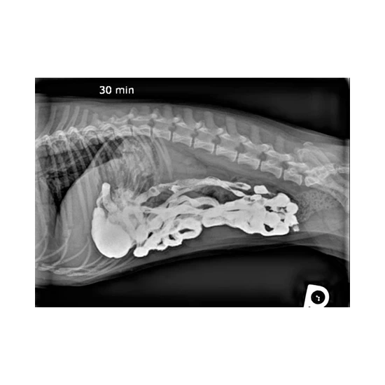 Röntgen Kontraszt Bas04 1kg