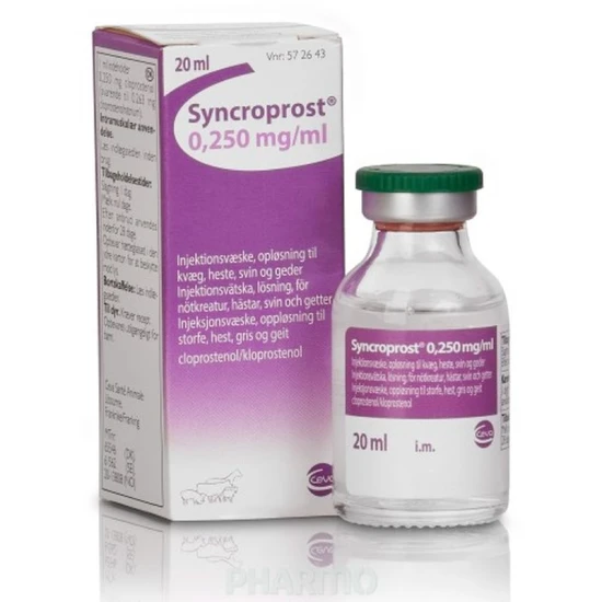 Syncroprost 0,250 mg/ml oldatos injekció 50ml