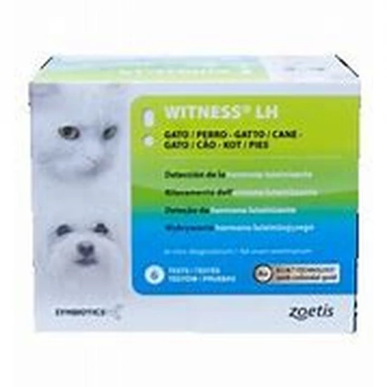 Tesztcsík Witness LH Teszt 6x