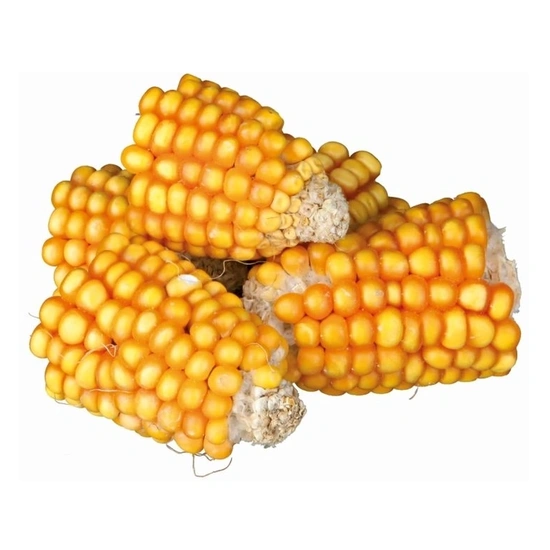 Trixie Jutalomfalat Rágcsálónak Szárított Kukorica 300g