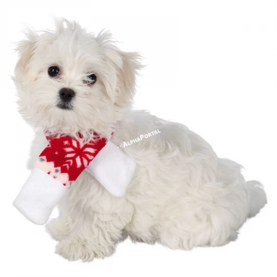 Trixie Karácsonyi mintás sál kicsi S piros/fehér