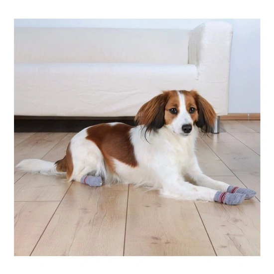 Trixie Kutyazokni Csúszásmentes Talppal L Szürke 2db/Csomag szürke