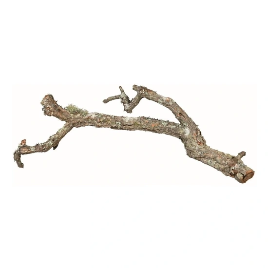 Trixie Terráriumba Vegyes Parafa Ágak, Natúr, 1kg