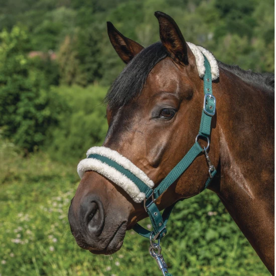 USG Műszőrmés kötőfék, zöld, cob