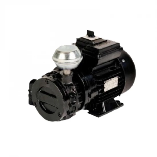 Vákuumszivattyú Epv220 230v