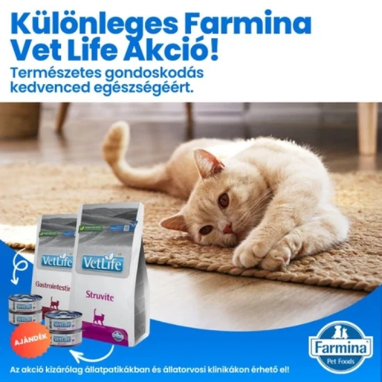 Vet Life Natural Diet Cat Struvite 2kg+2*85g konzerv csomag