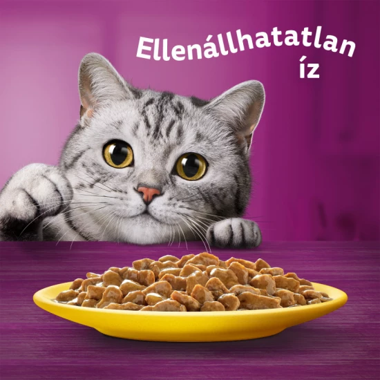 Whiskas alutasak Multipack szárnyas válogatás mártásban 4x85g Whiskas alutasak Multipack szárnyas válogatás mártásban 4x85g