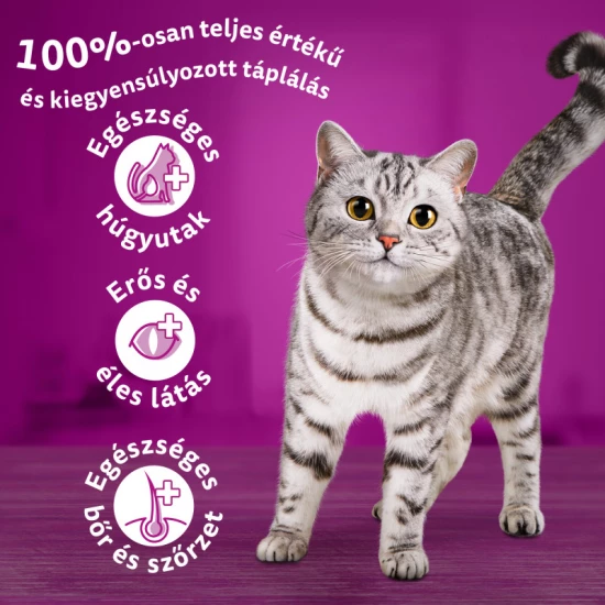 Whiskas száraz macskaeledel marhával 14kg Whiskas száraz macskaeledel marhával 14kg
