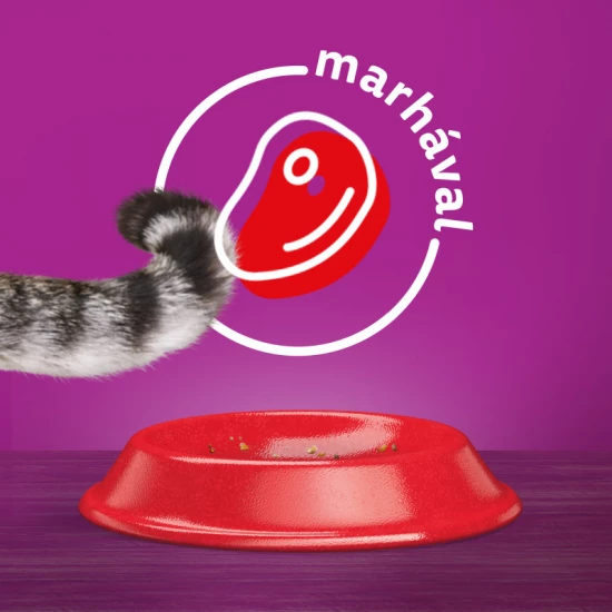Whiskas Száraz Marha -Májas Falat 300g