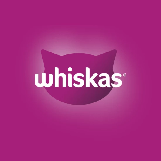 Whiskas Száraz Marha -Májas Falat 300g